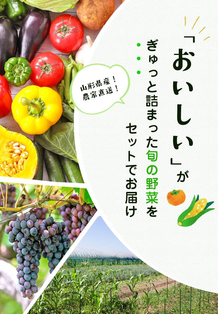 自然栽培野菜やプルーンの通販【あなたの食の帰る場所361°】